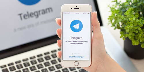 В Телеграм-канале СФР более 70 пользователей! Присоединяйтесь! 